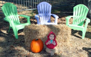 Charlie Pumpkin Original